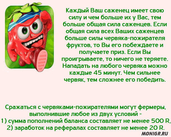 Фруктовая битва