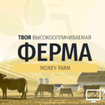 Money Farm - Ферма денег